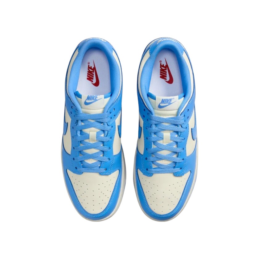 Кроссовки мужские Nike Dunk Low Retro DV0833-113